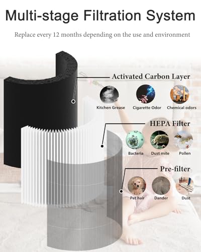 https://m.media-amazon.com/images/I/41Kt1-rtdtL.jpg