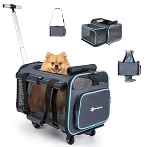 MIU COLOR Pet Carrier with Wheels Under 15 lbs-One Sided Expandable, Airline Approved Foldable Soft Carrier for Small Dogs and Cats, Dog Carrier with Wheels for Car Road Trips Travel Camping Outdoor