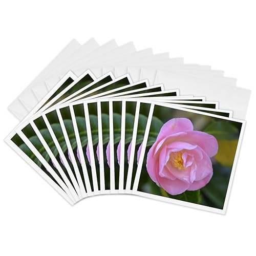 Cartes de vœux camélia rose 15x15 lot de 12 | Papeterie 3dRose