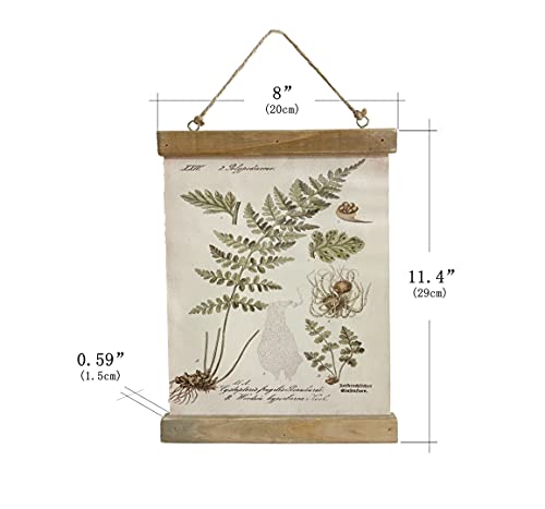 Vintage Poster Wall Art Prints Fabric Poster Butterfly Tapestries Canvas Wall Scroll Art Poster Artwork With Wood Frames Ready To Hang 6 Set 8" X 11" (Botanical) #TOP1