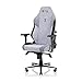 Secretlab Chaise Gaming Titan Evo Cookies & Cream - Ergonomique, Confortable et Inclinable avec Accoudoirs 4D, Appui-Tête Magnétique et Support Lombaire Intégré à 4 Directions - Gris - Tissu