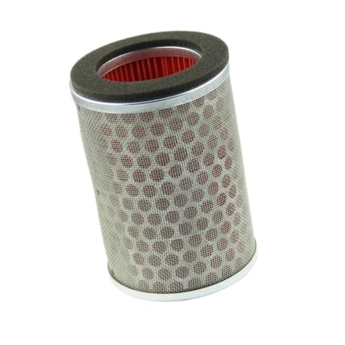 Filtre à air moto pour Hornet CB600F CB250 CBF500 et CBF600 de 1998 à 2010