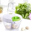 Multi-function Hand Held Vegetable Shredder Slicer Cutter Powerful Manual Pulling Food Chopper Cutting Various Foods Nuts Pesto (Green)
