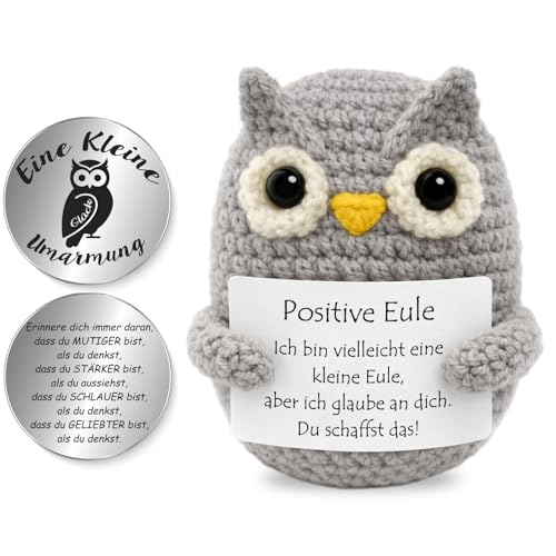 Tixlux Pocket Hug Positive Eule Kreative Strickwolle Eulen- Figur und Kleine Umarmung Glücksbringer MutmacherGeschenk Gute Besserung Geschenk Einschulung Geschenk