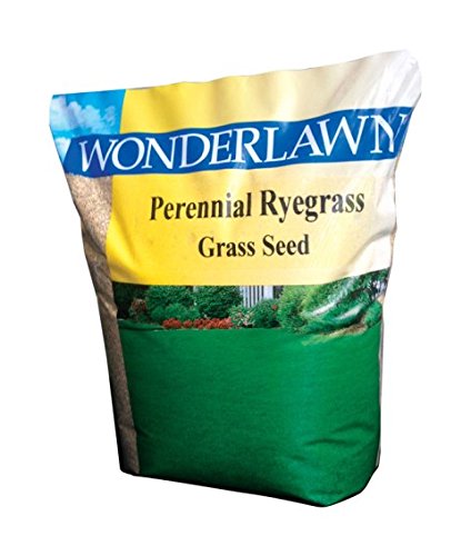 Barenbrug Wonderlawn Perennial Ryegrass Lawn Seed Blend 10 lb.