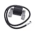 Produktbild shiqi Zündspule für Briggs & Stratton Electrolux 395326, 395492, 398265, 398811