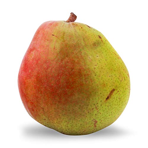 Comice Pear