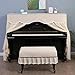 Piano Dustproof Cover, Piano Cover Upright, Embroidery Lace Quilting Process Cloth for Electronic Pianos and Upright Pianos, Home Use(Beige,C(150 * 37 * 57))