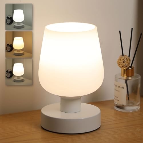 Lightess Lamparas de Mesita de Noche Tactil Regulable, Lampara de Mesa con Pantalla de Cristal Esmerilado Blanco, Lampara Noche E27 con Enchufe para Dormitorio Salón, Bombilla LED Incluida