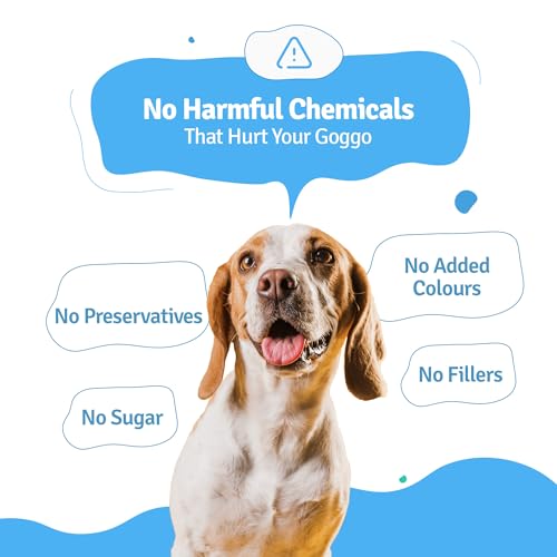 Image of BLEP Dog Food Adult & Puppy,Adult Dog Food, Dog Wet Food, High Protein, Contains Chicken Breast, Broccoli, Pumpkin, Spinach, Zucchini, Zero Preservatives - 400g (4 Packs of 100g)