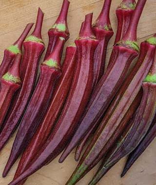 Image of GENERIC Hybrid RED Ladies Finger - Okra Bhindi Hybrid Seeds Pack 50+ Seeds (70)
