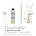 LOVSPA Lavender & Black Amber Diffuser Oil - Luxury Essential Oils for Diffuser Refill & Air Freshener Room Spray - Long-Lasting & Natural Home Fragrance, Scented Oil for Diffusers, USA Made, 4oz
