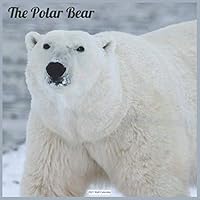 The Polar Bear 2021 Wall Calendar: Official Polar Bear Calendar 2021 B08QGF5W1K Book Cover