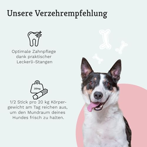 TIERLIEBHABER – Zahnfee Dental Sticks Hund Zahnsteinentferner – Hundeleckerlies zur Hunde Zahnpflege – Von Tierärzten entwickelt – Gegen Mundgeruch & Zahnbelag – 13 Natürliche Dental Kaustangen Hund