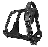REFLEKTIERT Der Brustgurt für Hunde ist an den Gurten mit Reflektoren ausgestattet, damit Dein Hund auch bei schlechten Lichtverhältnissen immer gut gesehen wird