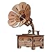 HEALLILY Carillon Grammofono in Legno Giocattolo Piccolo Carillon Melodia Carica Giocattolo Musicale per Bambini Regalo per Bambini Amici (Musica Casuale)
