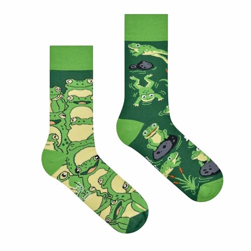 Spox Sox Casual Unisex - lustige verrückte bunte Socken für Damen und Herren Gr. 36-39 Frosch