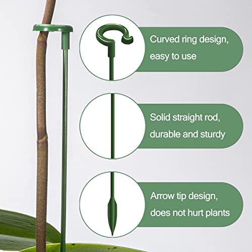 Luckjuju 30 Pcs Plant Support Stakes With 30 Pcs Plant Clips Garden Floral Flower Support Single Stem Support Stake For Phalaenopsis Orchid Flower Roses Amaryllis thumb #1