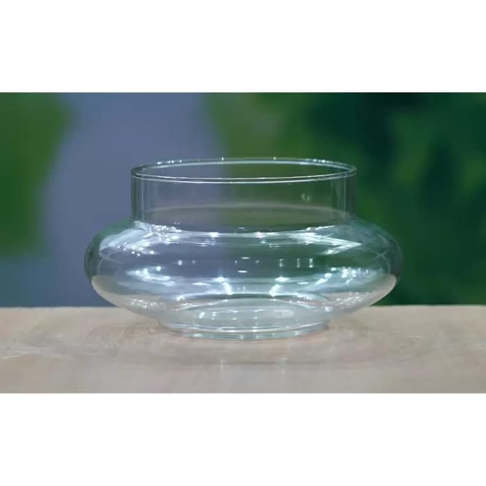 Image of Aradhya Enterprises. Clear Glass Bowl Planter, Wide Round Shape Potpourie for Plants, 3 Layer Lucky Bamboo Plant Pot for Balcony, Bedroom, Table, Office & Home Decoration - Pack of 1 Piece, 6 Inches