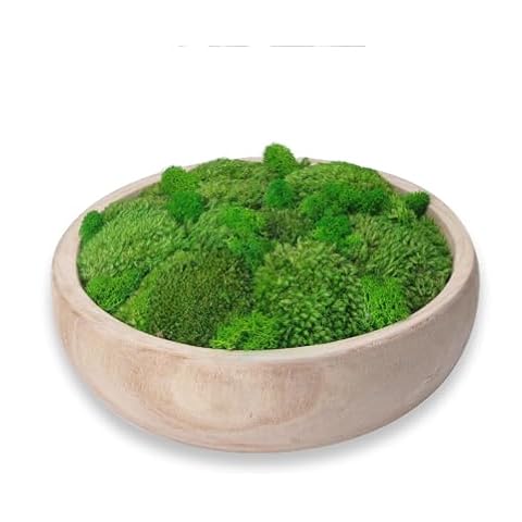 ACADOIT Moss Bowl Centerpiece Table Decor Moss Planter Preserved Moss Gift Wood Nature Bowl One Gift Wedding Centrepieces (burlywood-ROUND-11) Cover