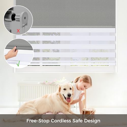Allesin Zen Cordless Dual Roller Shades with Square Cassette, Double Layer Window Shades, Blackout and Light Filtering, Day and Night Blinds for Home Office Door, Gray and White, 24" W X 46" H