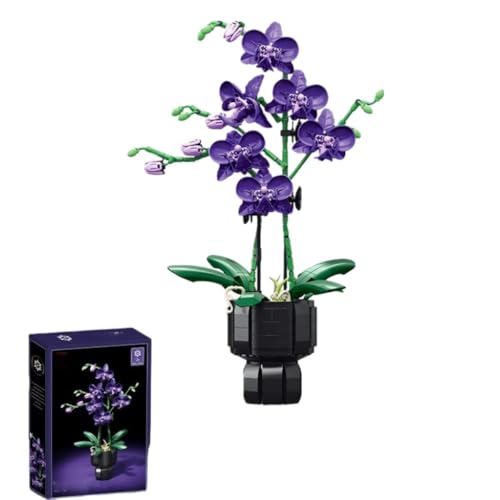 HCOSBIN ԂЂ܂ ubNZbg Cgt Ǌ|A[g H|iAЂ܂ ͌^ gݗĊߋ AA Gt[  z[ ItBX AԂ̒a NX}X Mtgl  ̎q (b)