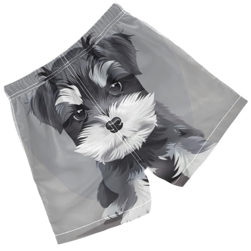 Pigsaly Boys Swim Trunks Grey Schnauzer Dog Boys Board Shorts Swimsuit Swimwear Summer Bathing Suit 2T2