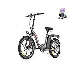 Fafrees F20+ 20 Zoll Faltrad E-Bike Fatbike (2025) - 36V 20AH Akku, 250W Motor, 140kg Traglast,...