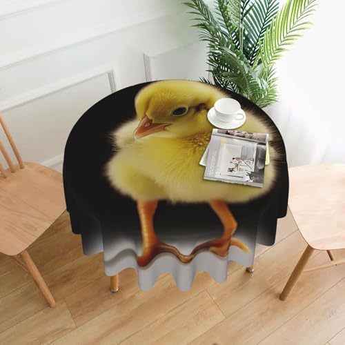 DWVTFSM Little Chicken Nappe ronde lavable anti-taches et infroissable pour salle à manger, cuisine, pique-nique, terrasse, fête - 152,4 cm