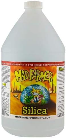 Silica 1 Gallon