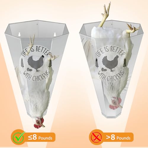 TGEYD Cone de frango, aço galvanizado, cone de restrição de aves, design de parte traseira plana e f