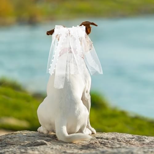 Generisch Haustier Hochzeitsschleier Mit Eleganter Schleife 21X21X7Cm Kopfschmuck Für Hunde Und Katzen Hochzeitskostüm Party Haustier-Brautschleier