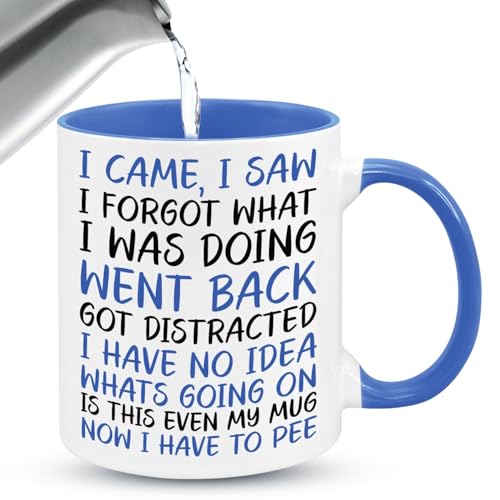 Vellivar Tazas divertidas, taza con texto en inglés "I Came I Saw I Forgot", regalos peculiares para mujeres, regalos para hombres, taza novedosa de jubilación, regalo de cumpleaños, Navidad, taza de