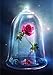 Kit de pintura de diamantes cuadrados 5D, DIY square Diamond Art Rose (La Bella y la Bestia)Rhinestone Kit de punto de cruz Suministro Arte Artesanía Lienzo Decoración de la pared pegatinas 30 x40 cm