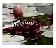Nymphaea Black Princess Seerosen im Vergleich
