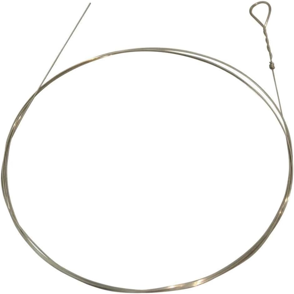 Folkcraft® Plain Steel String, Loop End.012