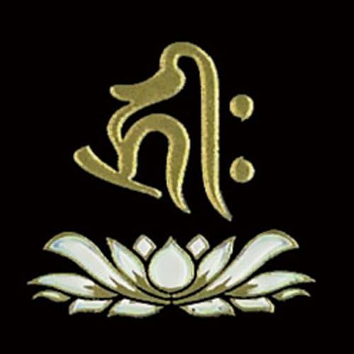 Amazon 守護梵字2 シール 守護梵字2 戌 亥 キリーク シール ステッカー おもちゃ