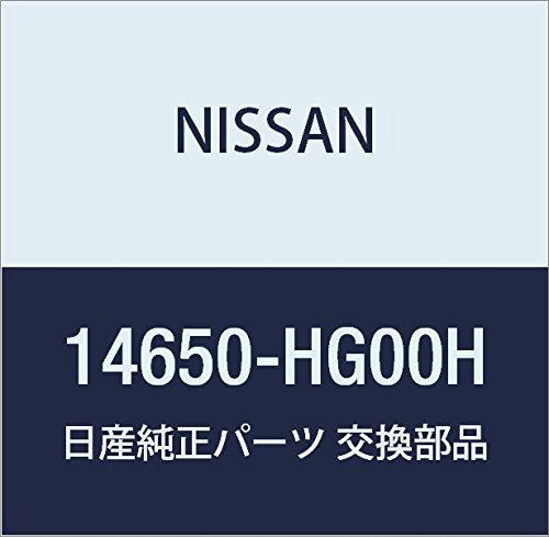 Juego de bomba de vacío Nissan 14650-HG00H miniatura 1
