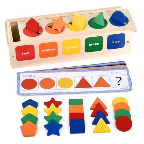 DODUOS Montessori Toys for 1 Year Old,Wooden Shape Sorter Toy,Educational Toys for 2-3 Year Olds,Toddler Learning Toys Colour Sorting Toys for Toddlers Sensory Toy,Montessori Toys for 1 2 3 Years Old