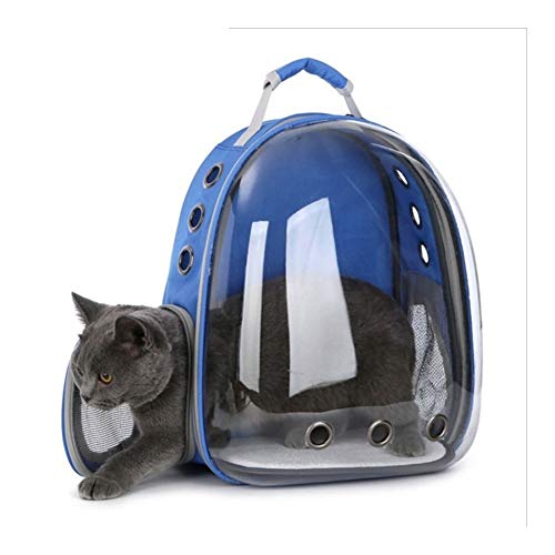 6 Kleuren Kat van het Huisdier Carrier Rugzak Transparante Bag Hond Kat Outdoor Hiking Travel Bag Pet Space Portable Bag Cat Carrying Cage Bag (Color : Blue)
