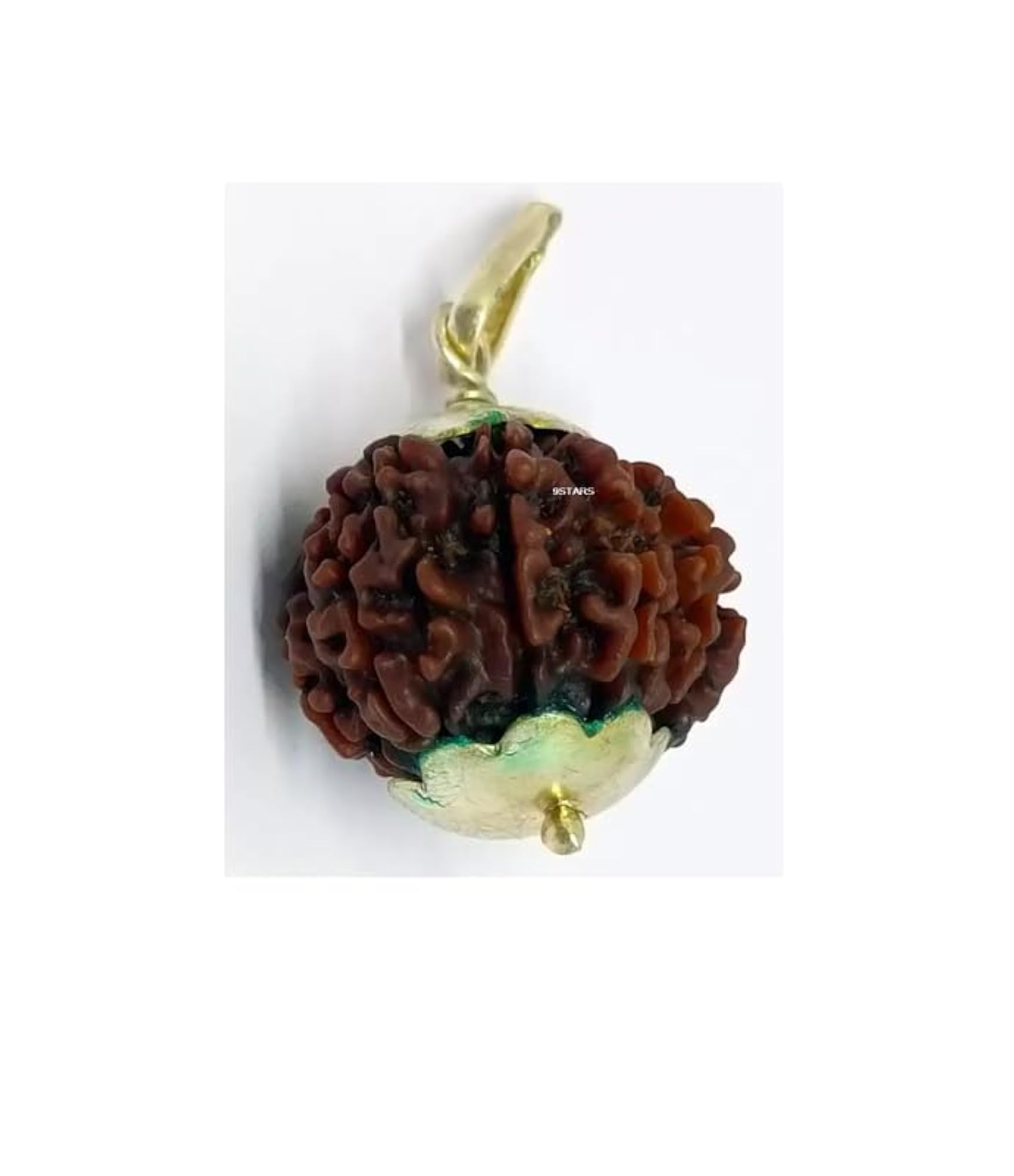 12 Mukhi Rudraksha Original Certified Nepal Pendant, Spiritual Gift