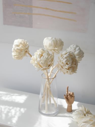 Flores Secas White Shakyamuni para Decoración miniatura 4