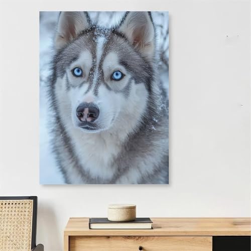 Peinture par numéro adulte avec cadre 45x60cm, toile motif chien de neige avec pinceaux