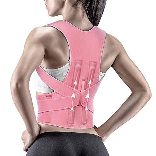 �����j���p�o�b�N�u���[�X�p���������u - ���߉\�Ȕw�����p���������u�A�w���������u�A�{�f�B�E�F���l�X�p���������u�A��l�p�w���㕔�T�|�[�g�u���[�X (L) (XL) charitable