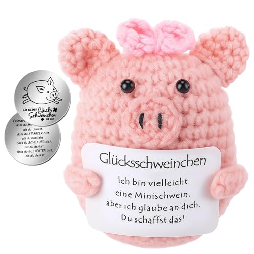 Xialvyu Pocket Hug Glücksschweinchen Kreative Strickwolle Minischwein Puppe mit Kleine Umarmung Glücksbringer Mutmachergeschenk Gute Besserung Einschulung Geschenk für Freunde Kollegen Familie