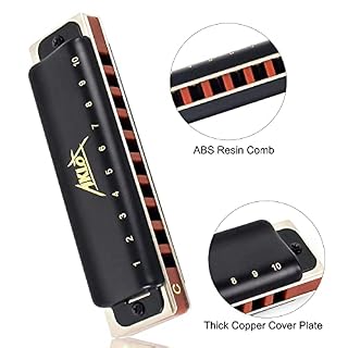 AKLOT Blues Harmonica 10 trous harpe diatonique clé de C Blues Harp 20 tons pour adulte et enfant avec étui rigide – Image 3