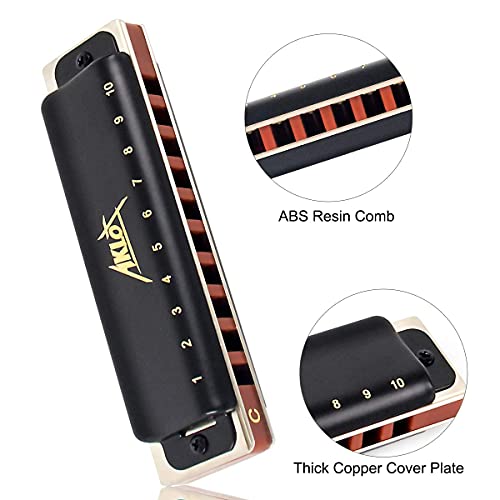 AKLOT Blues Harmonica 10 trous harpe diatonique clé de C Blues Harp 20 tons pour adulte et enfant avec étui rigide - Les Beatles, Paul McCartney, John Lennon, RIngo Starr, George Harrison AKLOT Blues Harmonica 10 trous harpe diatonique clé de C Blues Harp 20 tons pour adulte et enfant avec étui rigide – Image 4