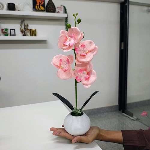 Image of CURATED CART Flower Pot with Artificial Flowers - Orchid Peach Flower with White Vase | Ideal for Home Decor | Office Decor | Gifting | Size 36 x 9cm