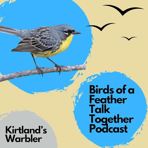 113: Kirtland's Warbler Revisited