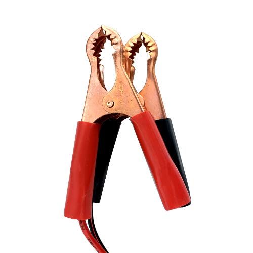 Banshee Lithium Motorcycle Battery Charger